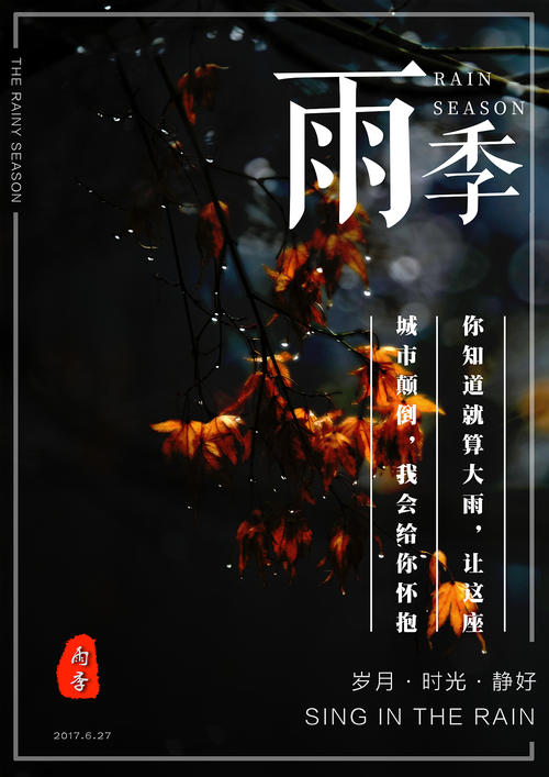 一比一仿斯洛文尼亚驾照